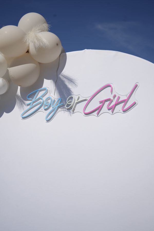 Néon LED "Boy or Girl" idéal pour Gender Reveal – Image 3